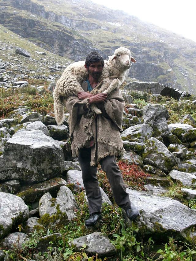 Shepherd on the trail to Hampta Pass