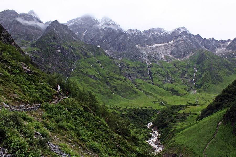 Valley of Flowers National Park in full monsoon bloom